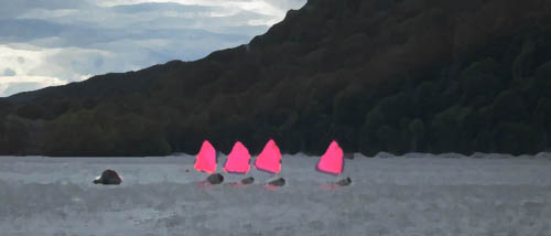 Pink Sails